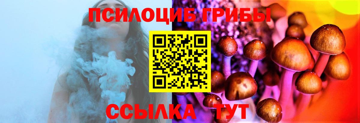 Кандалакша  Псилоцибиновые грибы Cubensis  Вход с VPN 
